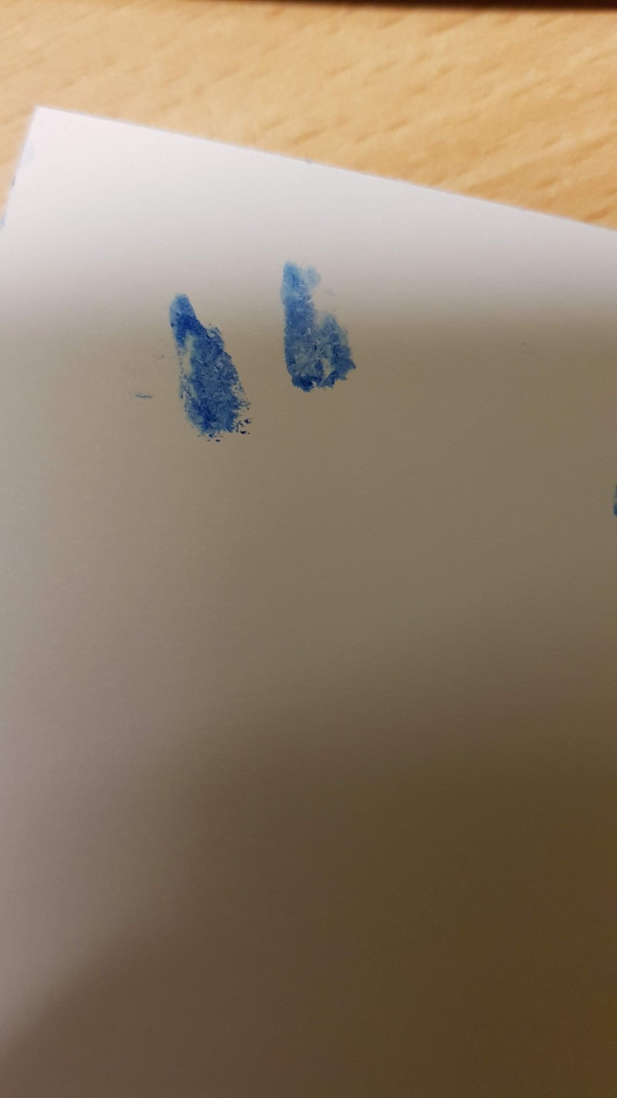 Las dos huellas azules de Sky, conservadas en papel